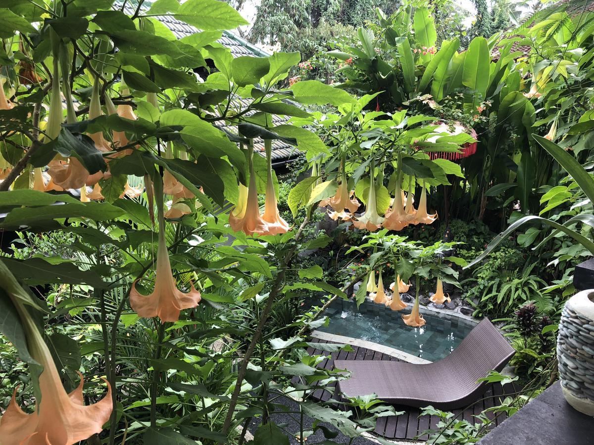 Отель White Lotus Oasis Убуд Экстерьер фото